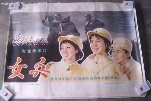 塔斯马尼亚州驾驶证买个多少钱